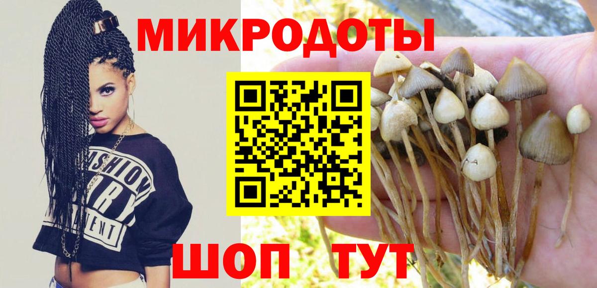 Галлюциногенные грибы прущие грибы Владикавказ